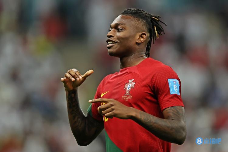 葡萄牙更新大名单：佩佩、莱奥、塞梅多伤退，格雷罗入选