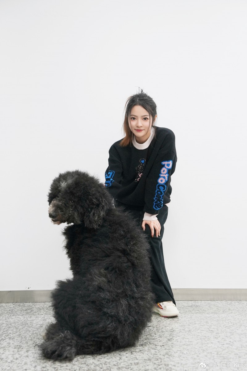 一笔姐晒照:公司的大狗狗