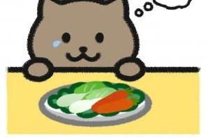 管泽元谈胖猫花51万后自杀:年纪大了真看不得这些 有些人真的太坏了