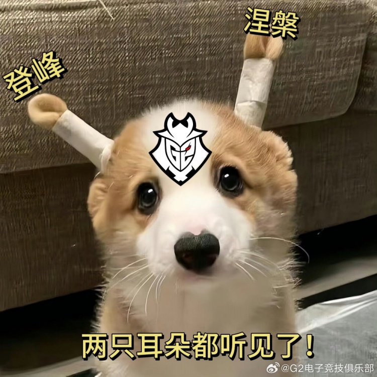 看到登峰组/涅槃组的组名后,G2官博:好像都是兔宝的故事