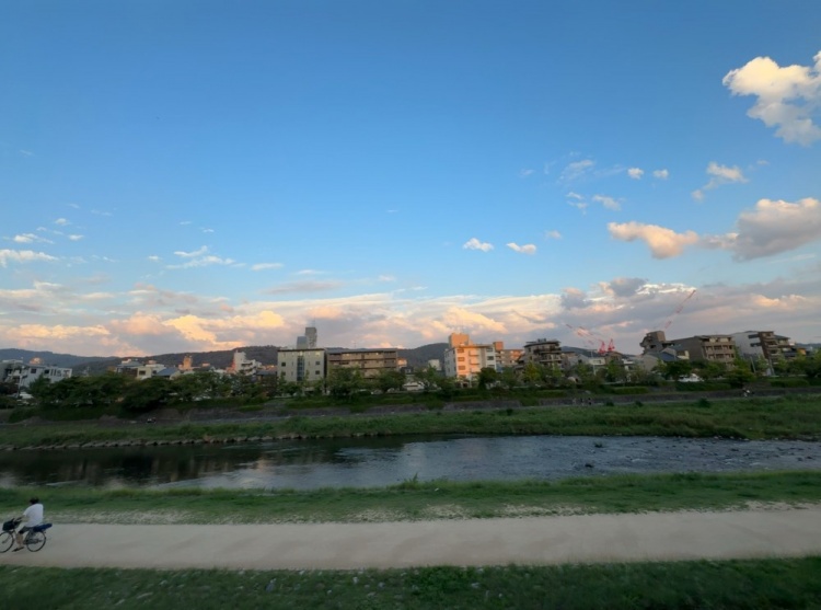 Angel晒日本游玩照片:鹿饼喂完了还被“莉莉娅”追着拱屁股