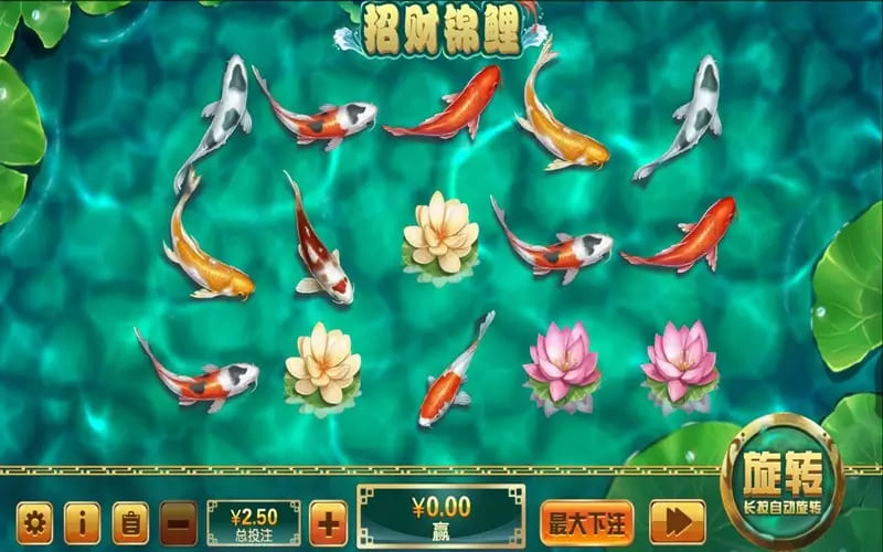 大发娱乐全新力作 —— 招财锦鲤,带你畅游好运与财富