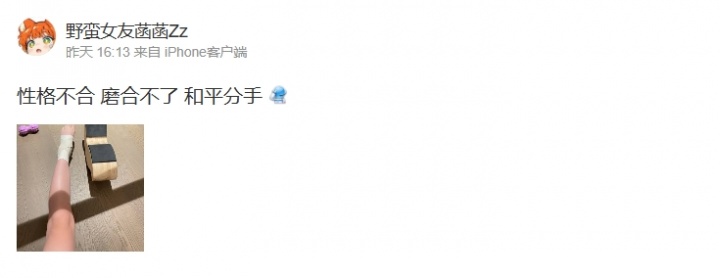 刀区CP小菡菡九朵和平分手：性格不合！我长的像少妇又不是我的错