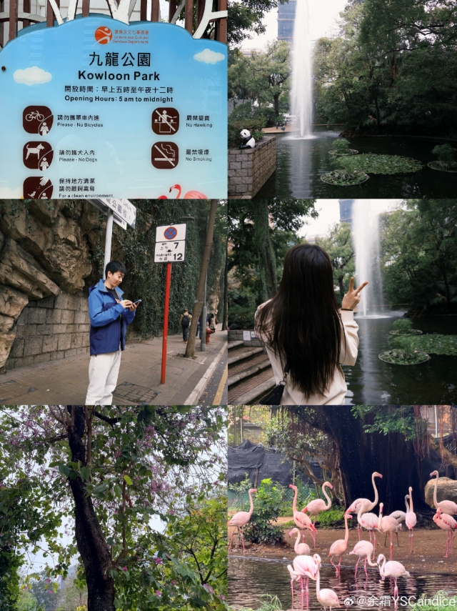 余霜晒与管泽元线下观赛LCK决赛合照:徒步👣